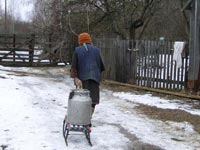 Новошепеличі