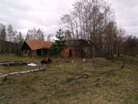 Новошепелицький Лісгоспзаг