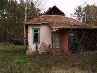 Новошепелицький Лісгоспзаг