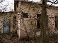 Новошепелицький Лісгоспзаг