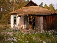 Autumn in the Chornobyl Zone