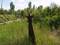 кладовища хутора Підлісне