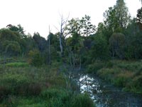 село Рудня Осошня