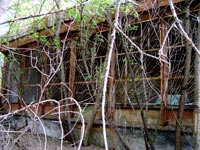 Старі Шепеличі