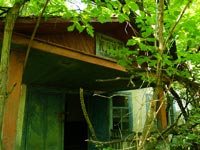 Старі Шепеличі