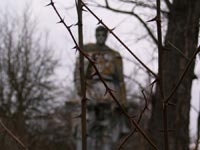 Товстий Ліс