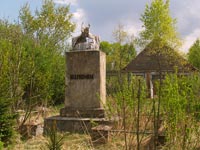Cело Товстий Ліс