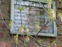Великі Міньки