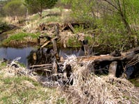 Великі Міньки