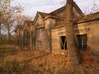 Autumn in the Chornobyl Zone