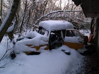 Winter in village Zalissia