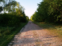 Журба