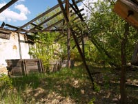 Станція Янів